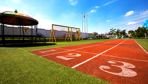 簽約波市少兒體育運(yùn)動(dòng)會(huì)網(wǎng)站改版