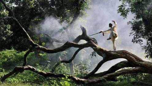 簽約張壩桂圓林旅游區(qū)網(wǎng)站建設(shè)