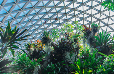 重慶泓禹環(huán)球農(nóng)業(yè)科技有限公司