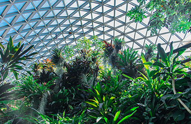 重慶笨笨農(nóng)業(yè)科技有限公司